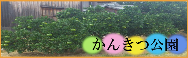 񂫂
