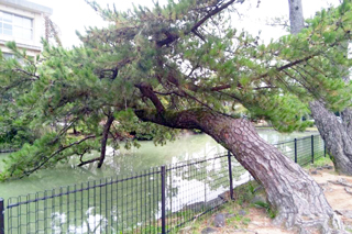 水練池